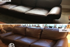furniture living room sofa cushions leather vinyl restoration dyeing cleaning conditioning padding